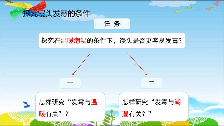 湘科版（2017秋） 五年级下册2.1《发霉和发酵》课件（15张PPT）