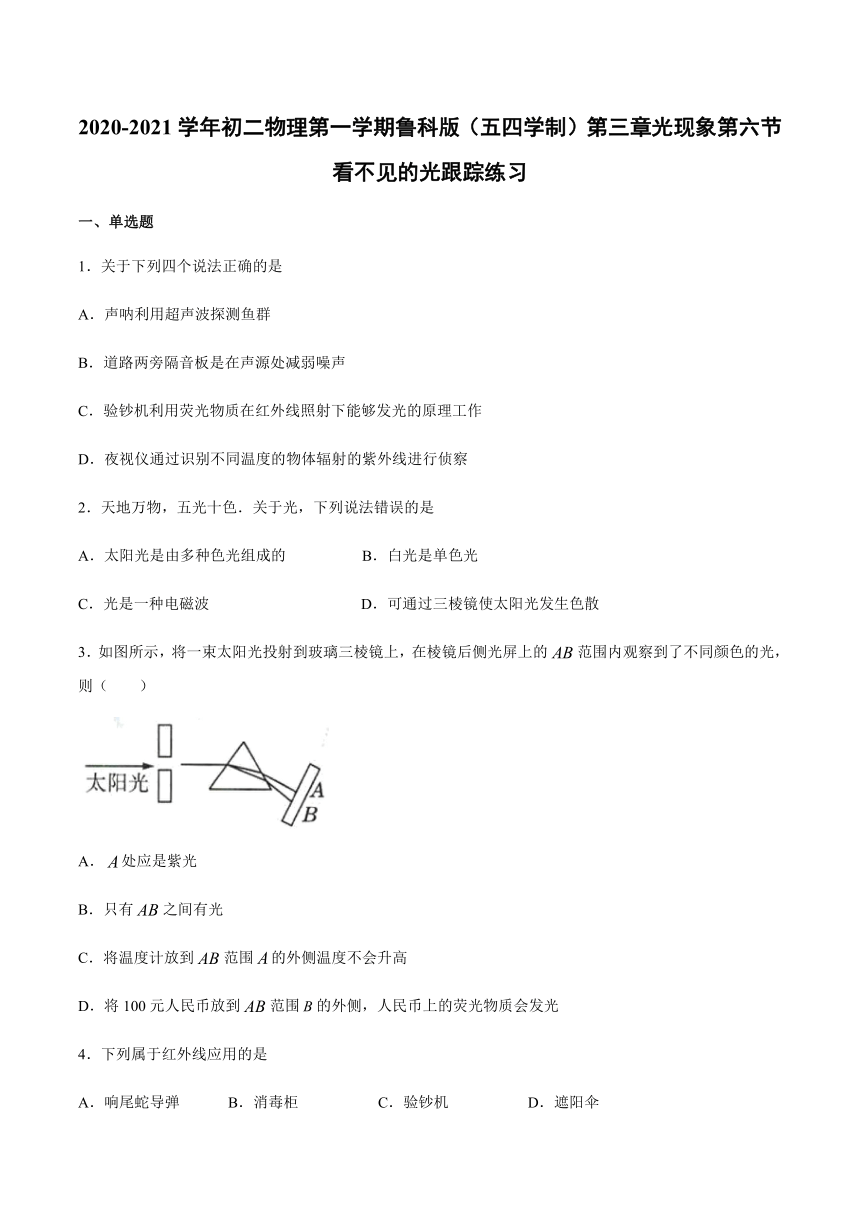 2020-2021学年八年级上册鲁科版（五四学制）第三章光现象第六节看不见的光跟踪练习(word版 带答案)