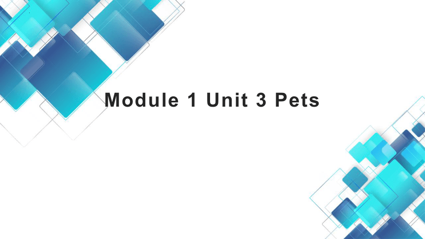 牛津上海版九年级上册 Module 1 Unit 3 Pets 课件 (共16张PPT)