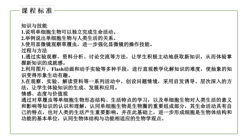 （人教版）初中生物七年级上册同步教学2.2.4 单细胞生物 课件(共24张PPT)