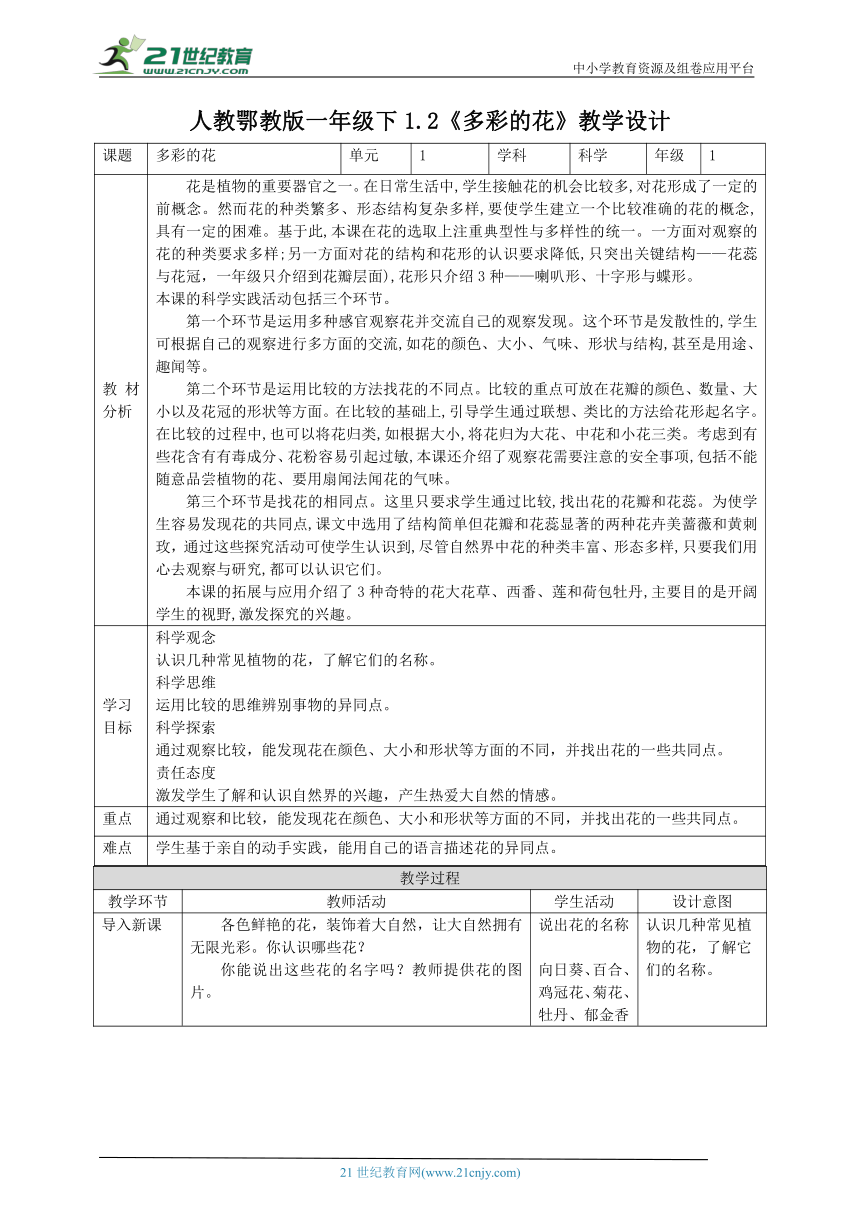 【核心素养目标】1.2《多彩的花》教案