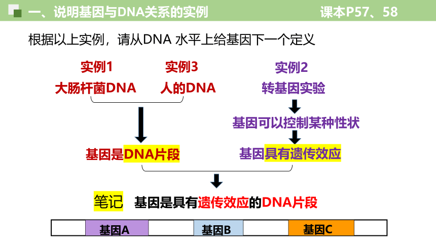 3.4基因通常是有遗传效应的DNA片段-人教版2019必修2(共33张PPT)