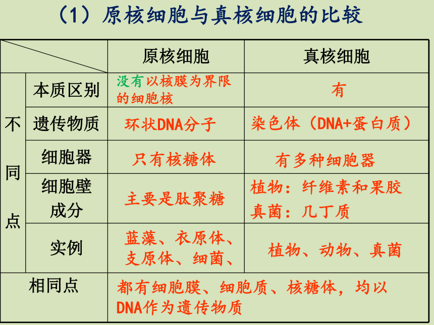 2020-2021学年高一上学期生物人教版必修一1.2细胞的多样性和统一性（第1课时）课件（31张ppt）