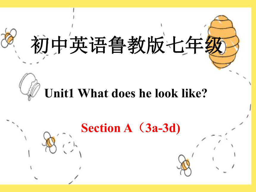 Unit1 What does he look like？ Section A 3a-3d 课件45张
