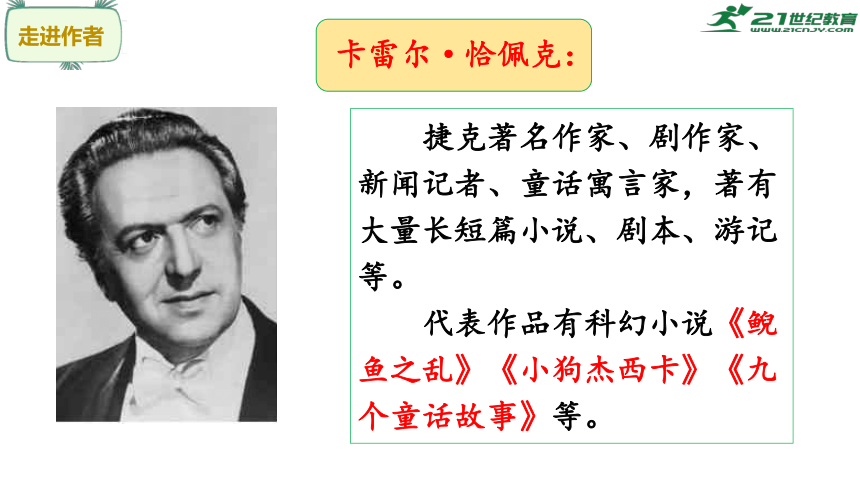 19《牧场之国》课件