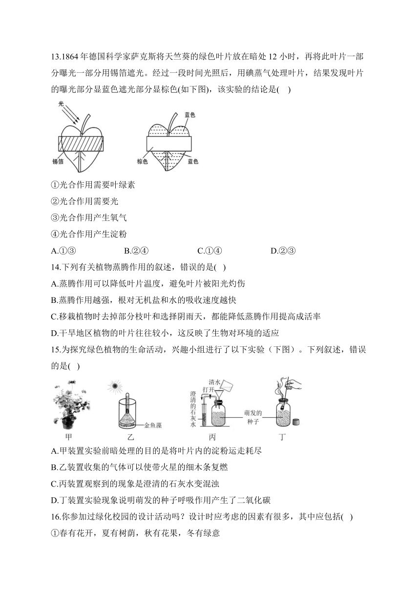 人教版七年级生物下学期开学测试练习 B卷（含解析）