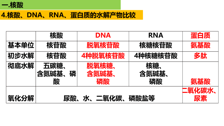 新人教必修1专题复习课件：07 核酸、糖类和脂质(共72张PPT)