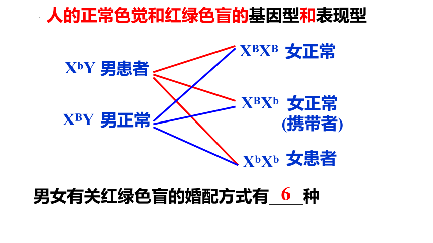 生物人教版（2019）必修2 2.3伴性遗传（共36张ppt）