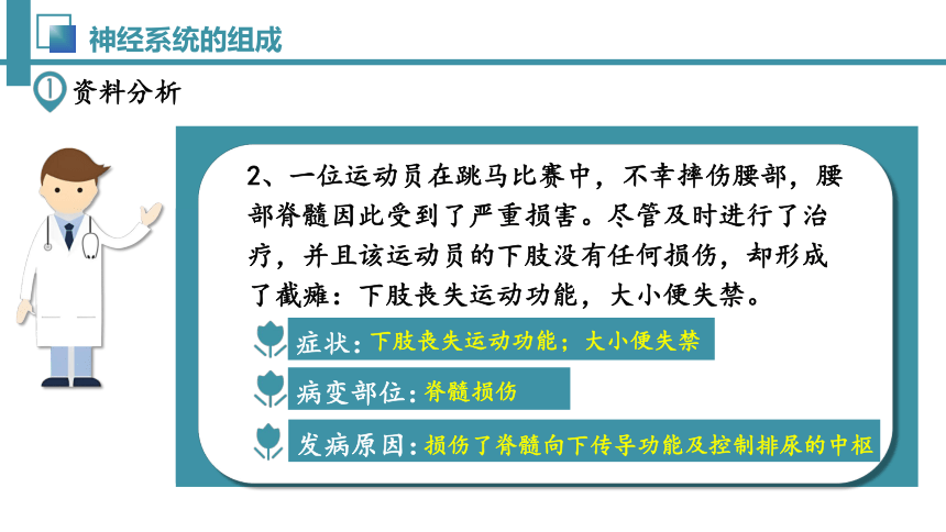 4.6.2 神经系统的组成-七年级生物下册同步精品课堂（人教版）(共32张PPT)