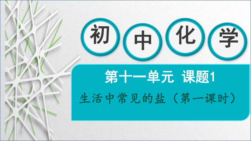 11.1生活中常见的盐（第一课时）课件(共18张PPT内嵌视频)—2022-2023学年九年级化学人教版下册