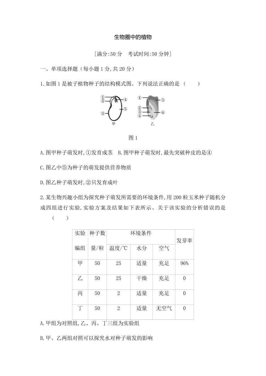 2022年江西省中考生物复习训练：生物圈中的植物（word版含解析）