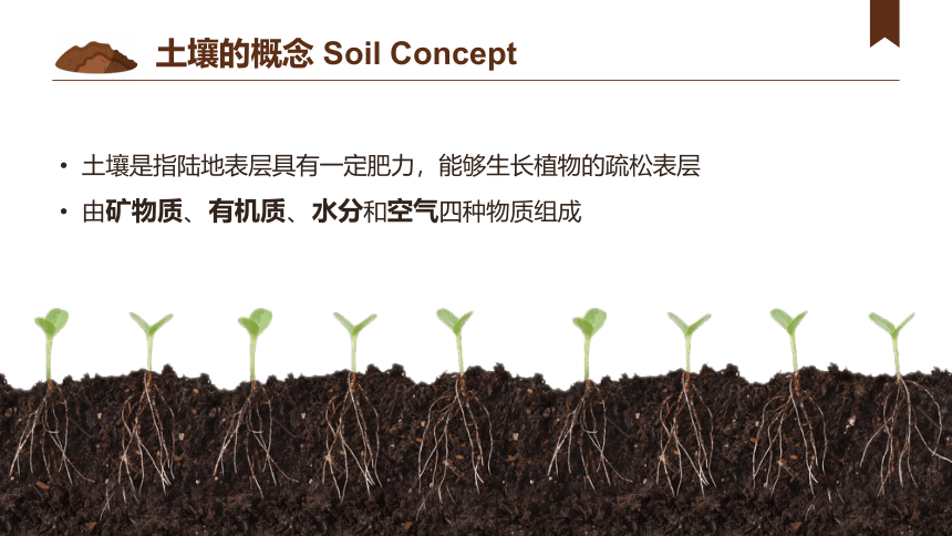 5.2 土壤 课件（69张）