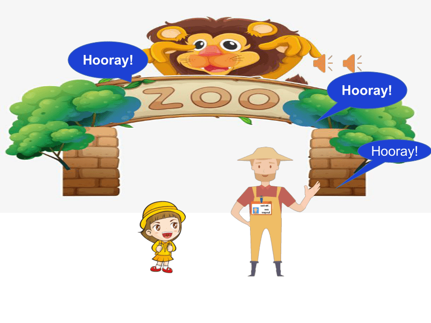 Module 2 Unit 4 Animals in the zoo 课件(共17张PPT)