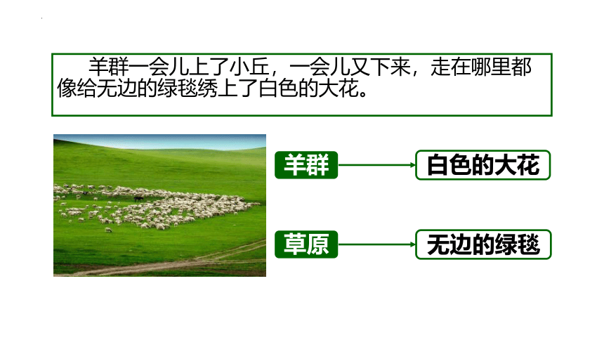 1《草原》课件(共18张PPT)