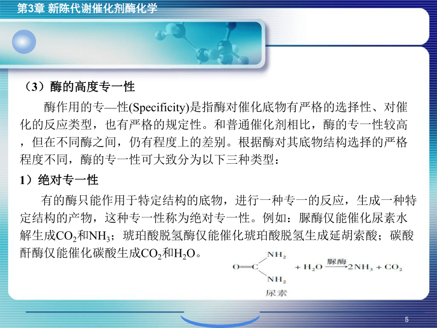 3.1酶的概述 课件(共27张PPT)- 《环境生物化学》同步教学（机工版·2020）