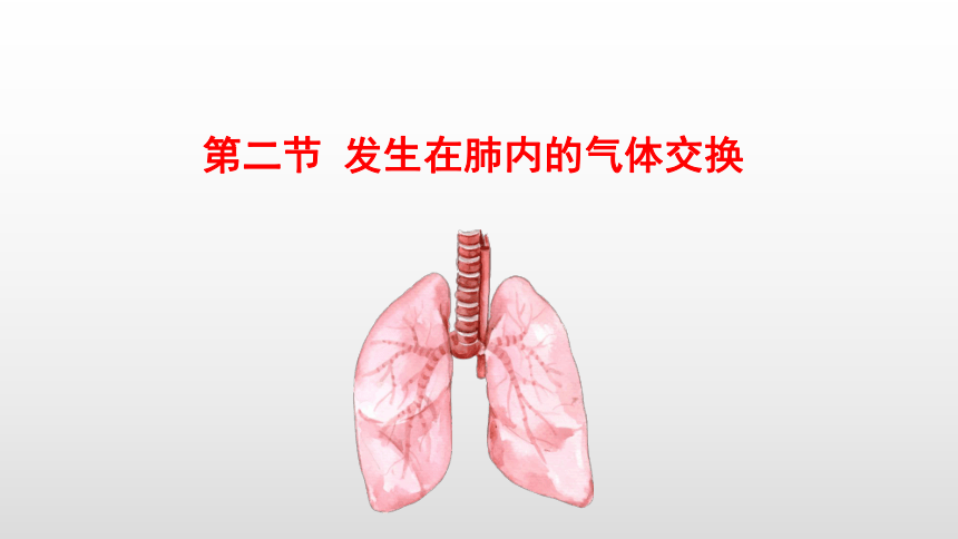 2021-2022学年人教版生物七年级下册4.3.2发生在肺内的气体交换课件(共24张PPT)