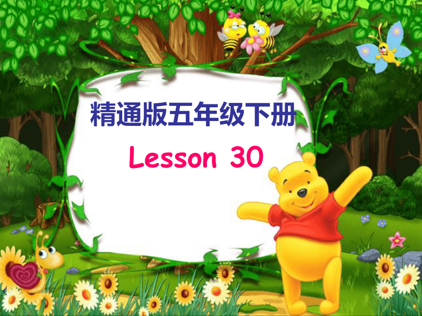 Unit 5 I'm cleaning my room.Lesson30课件（共27张PPT）