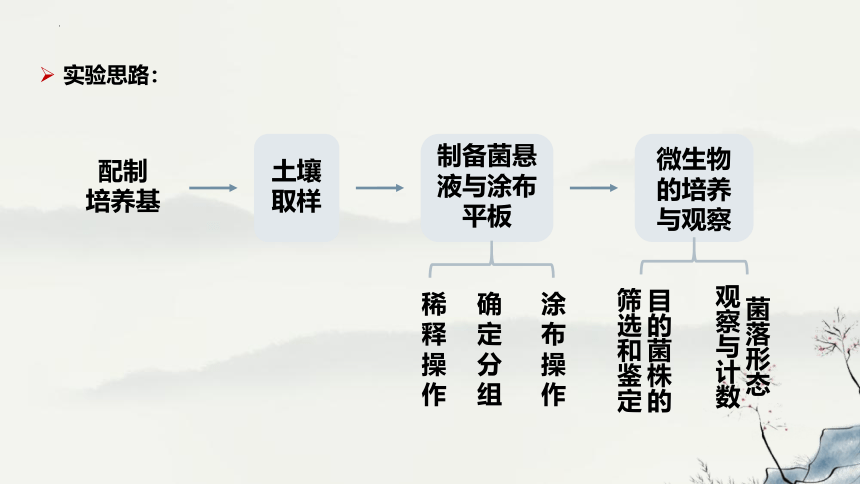 1.2.2土壤中分解尿素的细菌的分离与计数课件(共27张PPT)-人教版选择性必修3