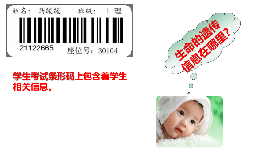 2021--2022学年济南版生物八年级上册 4.4.1遗传的物质基础课件（共25张PPT ）