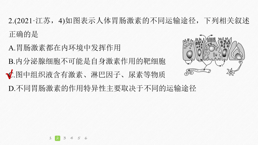 高考生物选择题提速练：(7)个体稳态与调节（课件版共28张PPT)