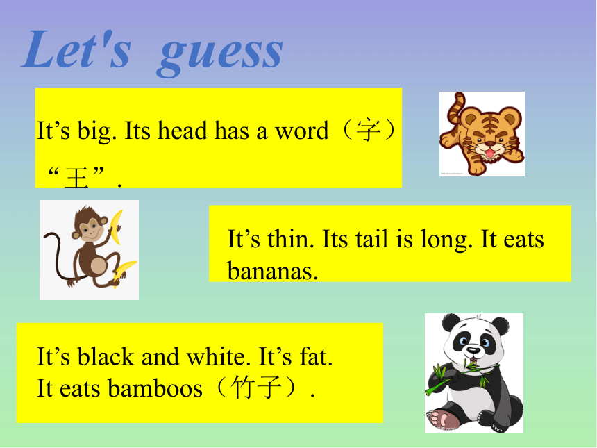 Unit 2 Animals at the Zoo  Lesson 10 Where Do They Live? （共17张PPT）