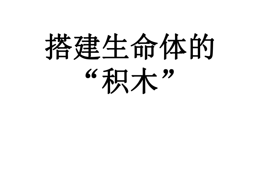 苏教版（2001）六年级上册1.4 搭建生命体的“积木” （课件22张ppt）