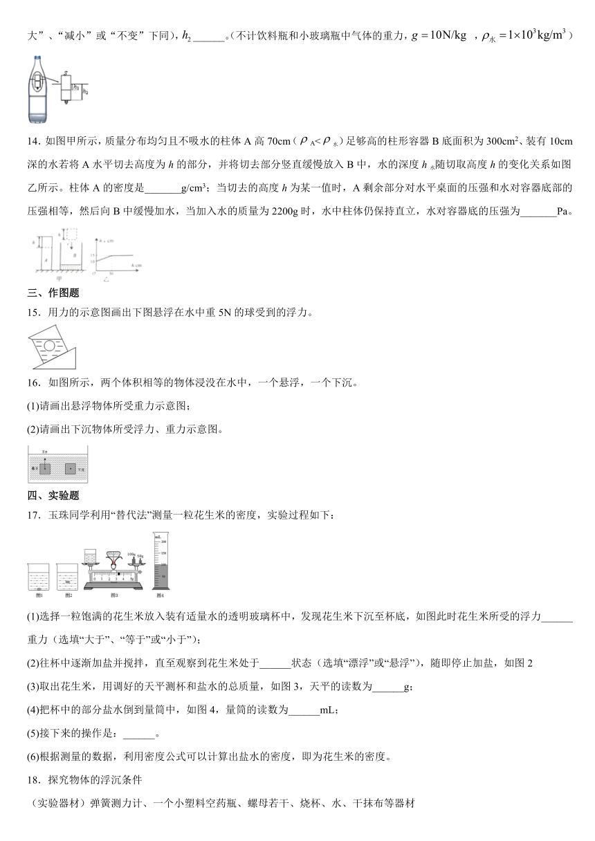 10.3 物体的浮沉条件及应用 暑假作业 2021年河南省淮滨县第一中学人教版八年级物理下册（含答案）