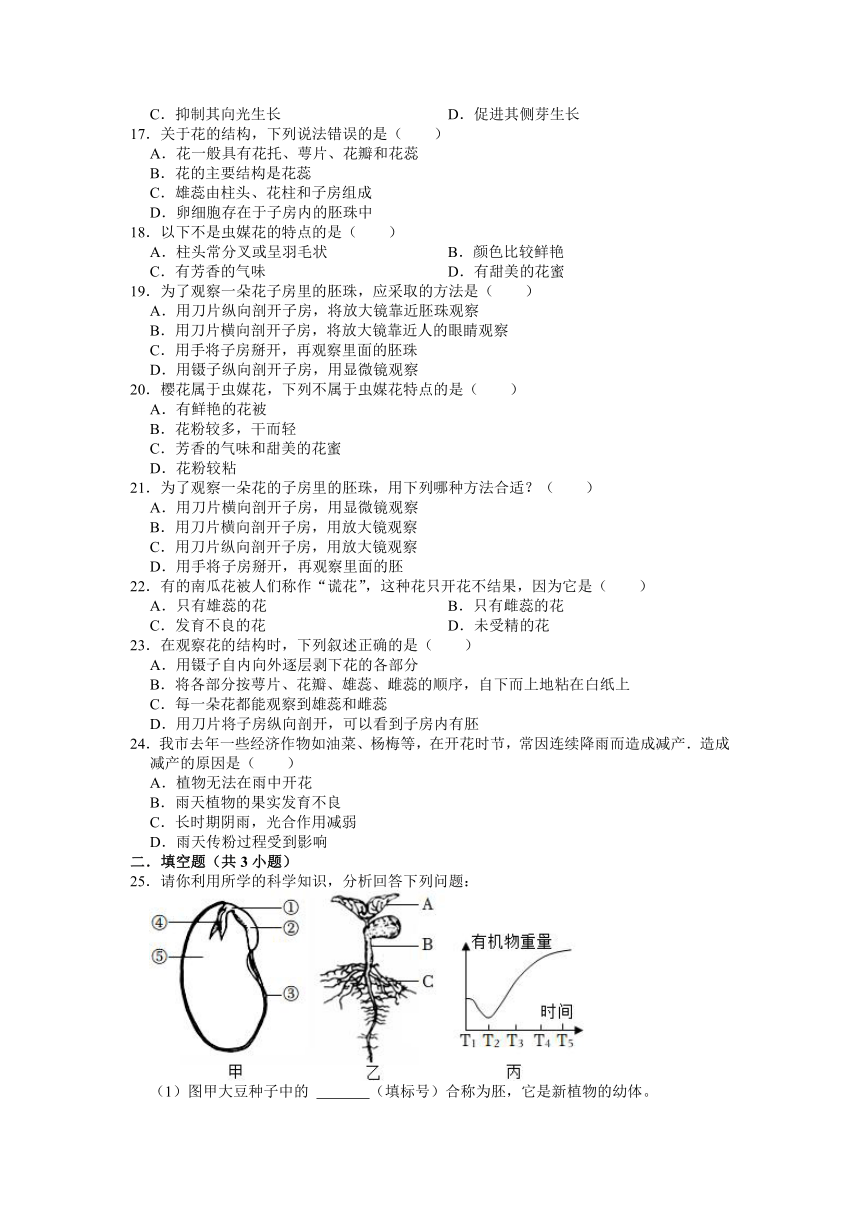 2022-2023学年浙教版科学七年级下册1.4植物的一生 同步练习（含解析）