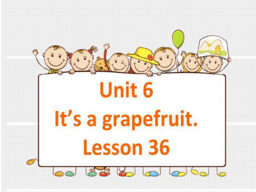 Unit6 It's a grapefruit(Lesson36) 课件（共19张PPT）