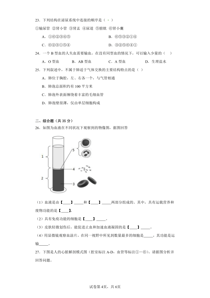 北师大七年级下-期中试卷（三）（含解析）