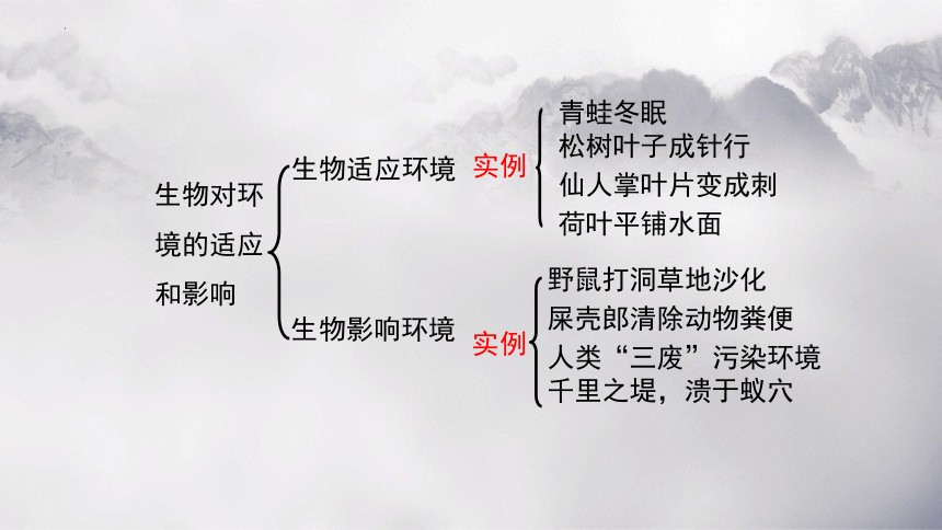 第一单元 第二章 了解生物圈-【复习旧知】2022-2023学年七年级生物上册复习课件（人教版）(共46张PPT)