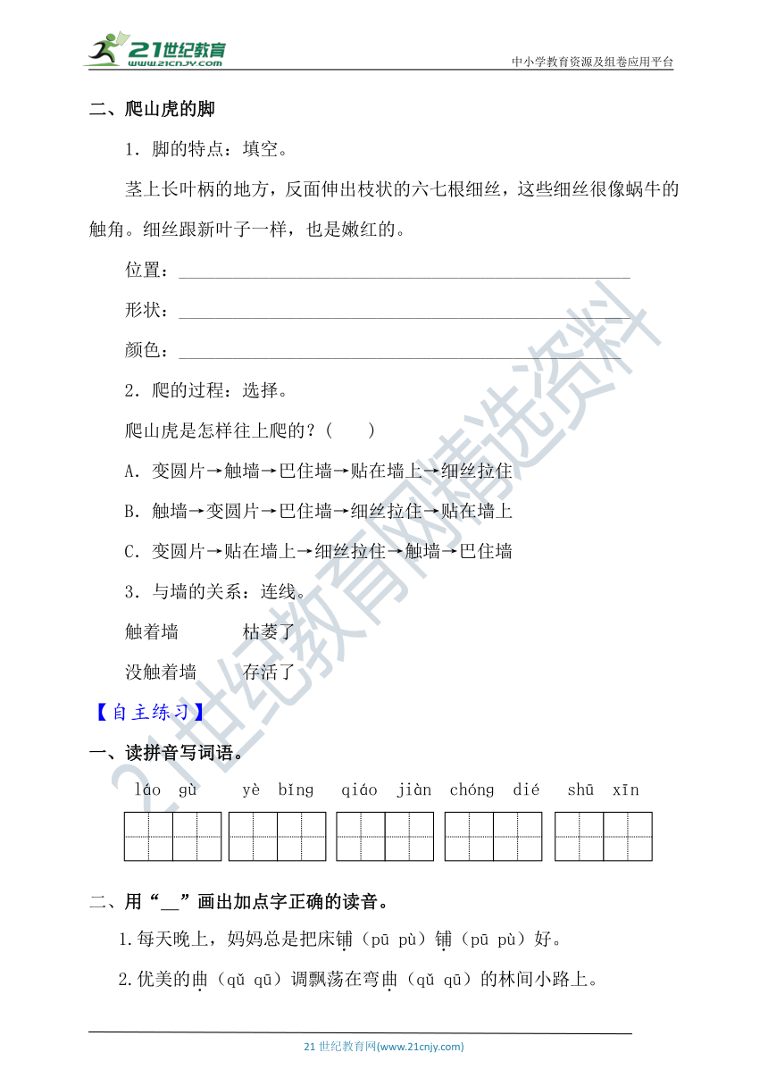 【新课标】10.爬山虎的脚 第2课时 导学案