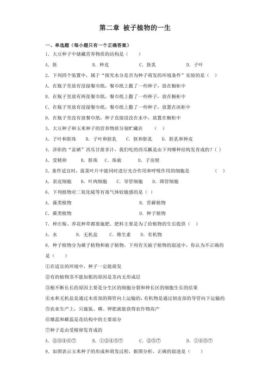 人教版生物七年级上第三单元第二章 被子植物的一生同步测试（word版含答案）