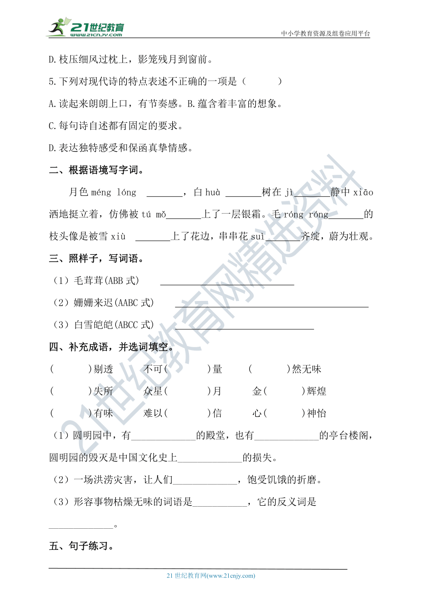 第11课《白桦》知识点+同步练习 含答案