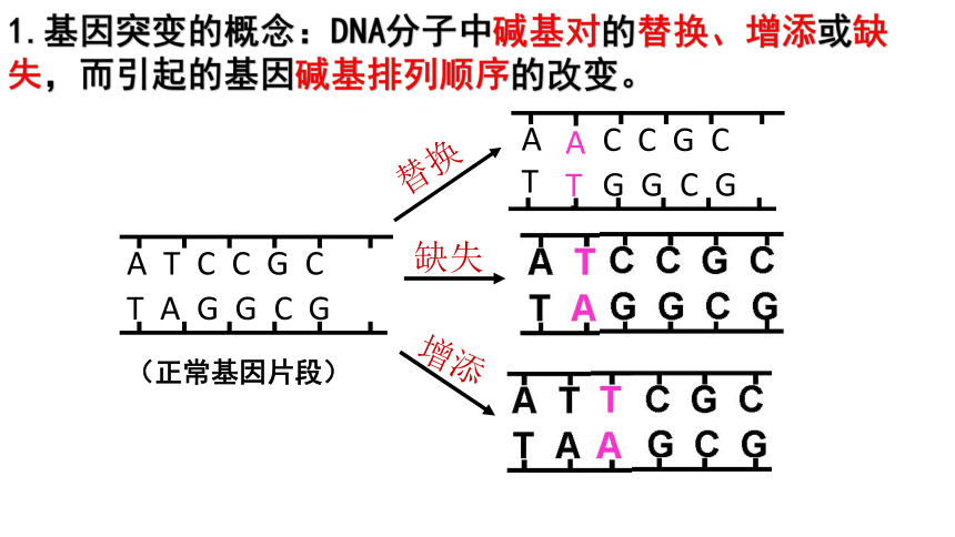 2021——2022学年高一下学期 生物人教版（2019） 必修2  5.1基因突变和基因重组  课件（25张PPT）