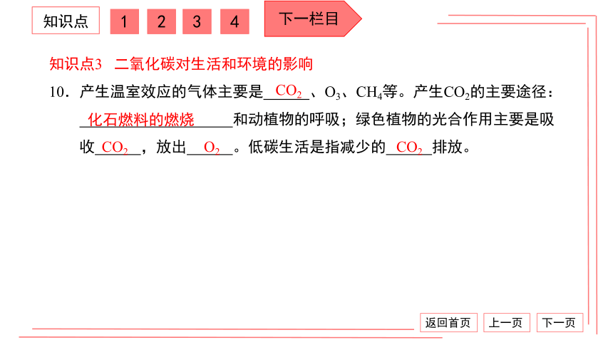 【期末复习】人教版化学九上 第六单元 碳和碳的氧化物 复习卷 习题课件