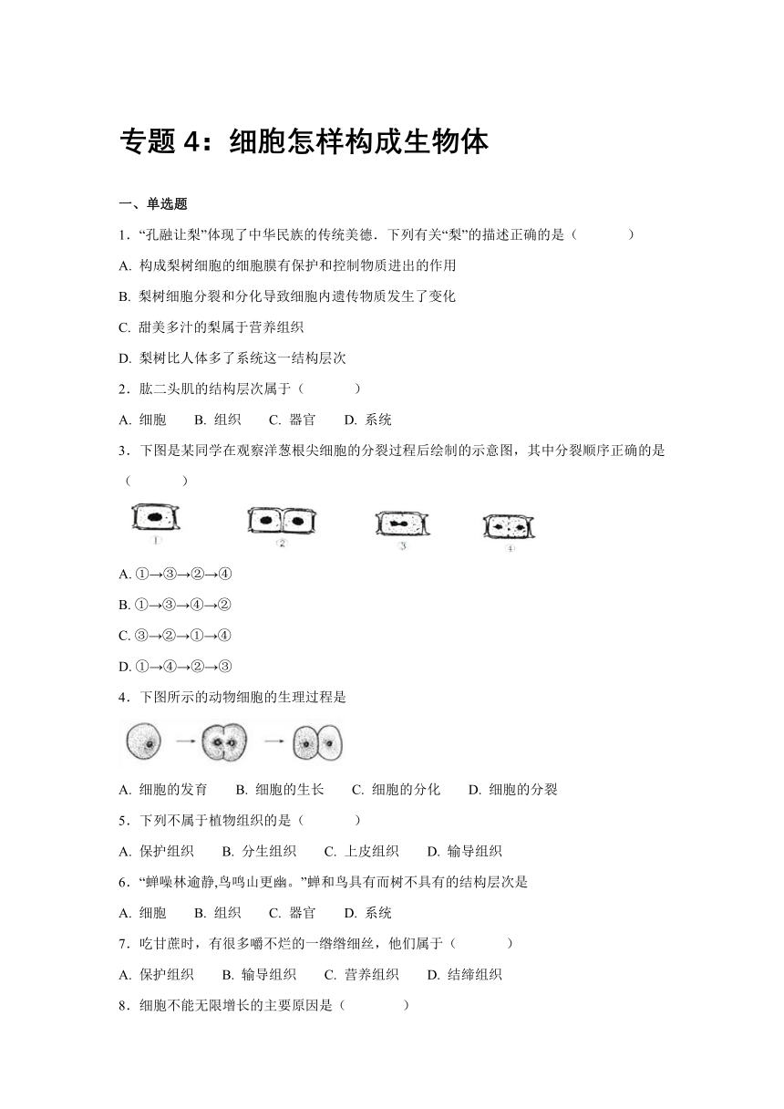 【会考专训】中考生物会考复习专项训练4：细胞怎样构成生物体（含解析）