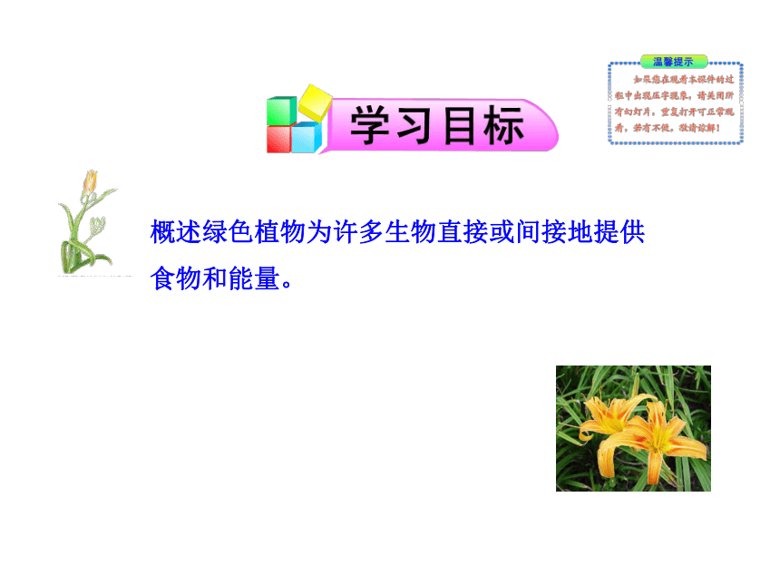 苏教版七上生物 7.1 绿色植物是食物之源 课件（28张PPT）