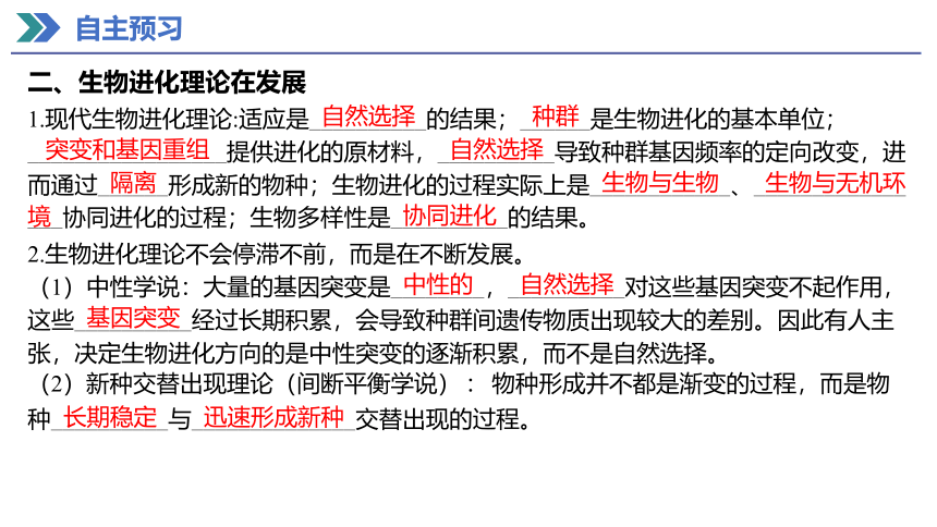 6.4 协同进化与生物多样性的形成 课件(共26张PPT) 2023-2024学年高一生物人教版（2019）必修第二册