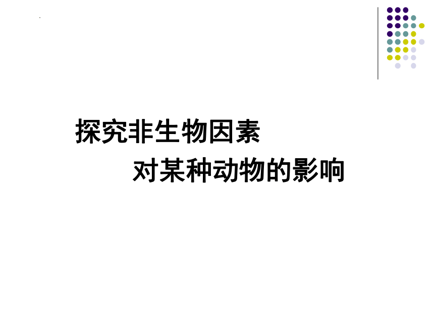 1.2.1生物与环境的关系（第2课时）课件(共15张PPT)2022--2023学年人教版七年级上册生物