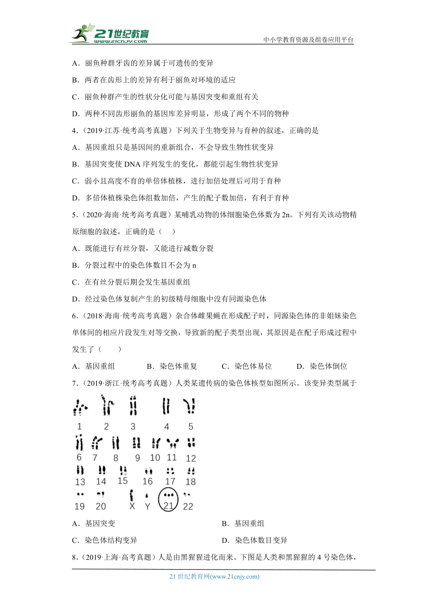 五年2018-2022高考生物真题按知识点分类汇编45-基因重组、DNA分子上的碱基（含解析）