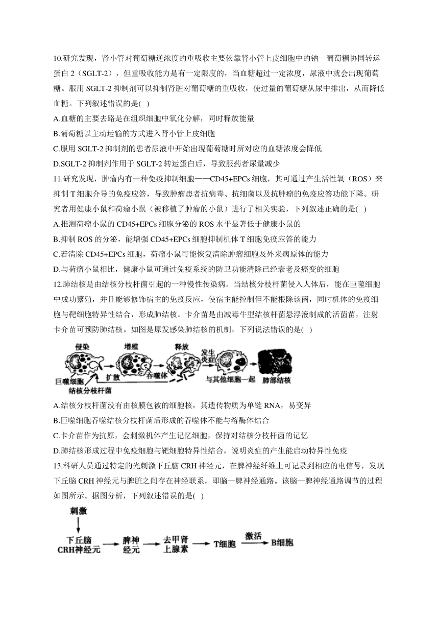 新课标新高考2022届高考生物二轮复习专题练（六）：个体生命活动的调节（江苏地区使用）（word版有答案）