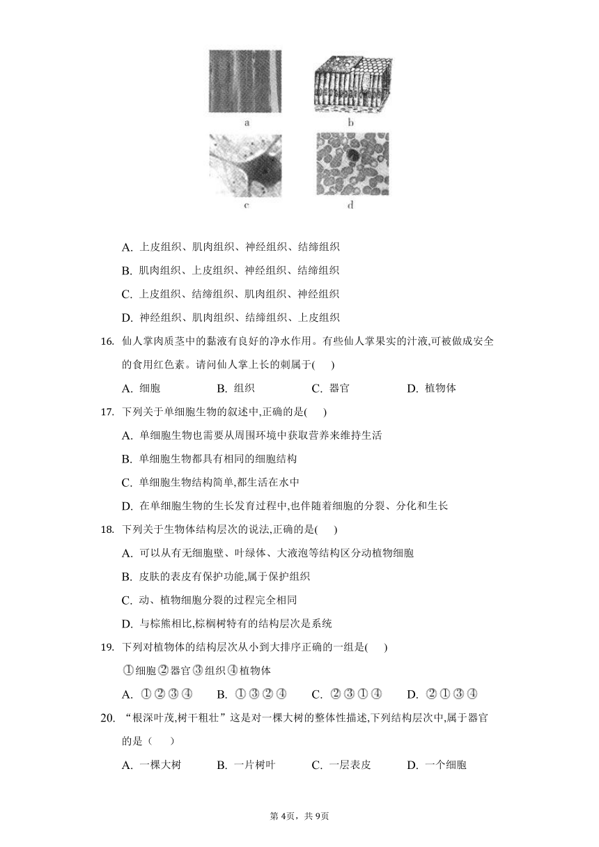 2022-2023学年人教版生物七年级上册同步练习 2.2细胞怎样构成生物体(word版含答案）