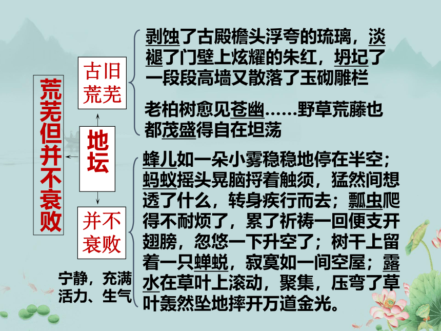 2022-2023学年高一语文部编版（2019）必修上册课件：第七单元  15 我与地坛（节选）(共21张PPT)