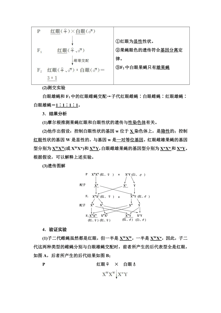 2020-2021学年苏教版（2019）高中生物： 必修2 第1章 第4节 第1课时 基因位于染色体上的实验证据 学案 （Word版含解析）