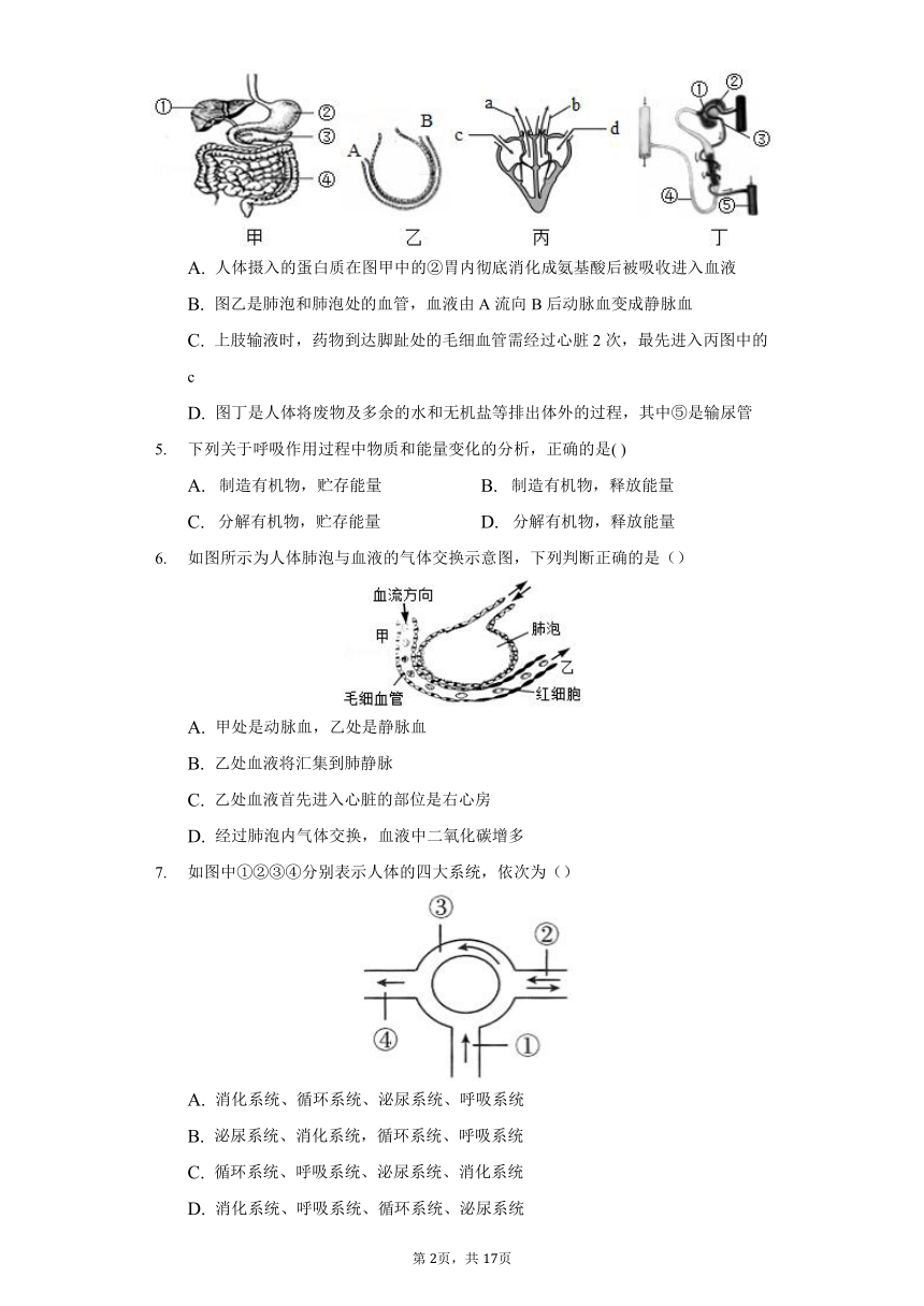 华师大版科学八年级上册5.2人体的呼吸 同步练习（含解析）