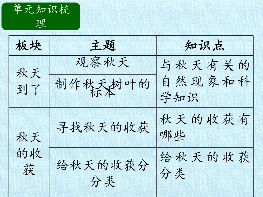 冀人版（2017秋） 二年级上册第三单元  秋和冬  复习（课件12ppt）