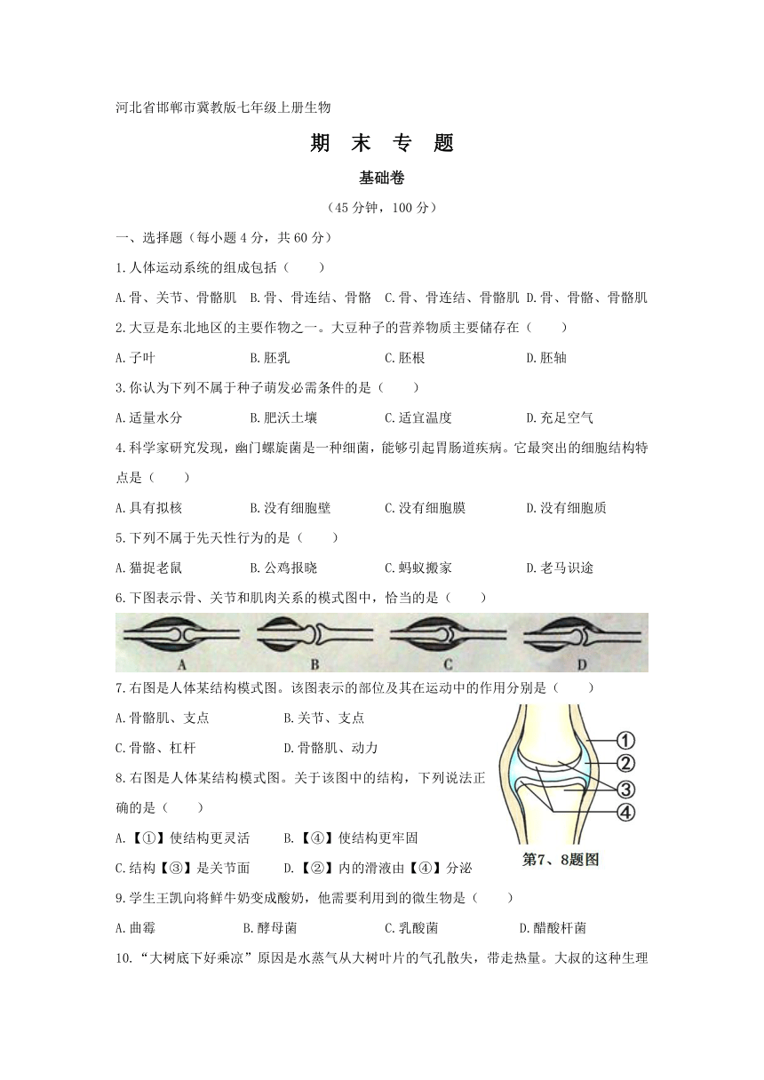 【期末复习】生物八年级上册  期末模拟卷（基础卷）（原卷+答题纸+答案）