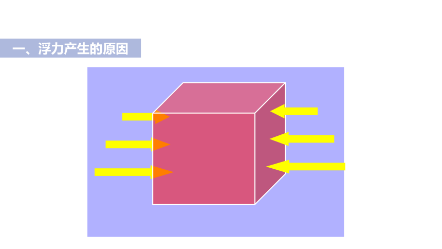 1.3水的浮力 第1-2课时（课件 18张PPT)