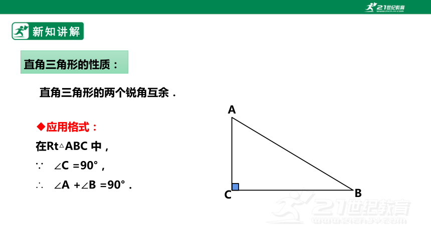 2.6.1 直角三角形的性质 课件（共19张PPT）